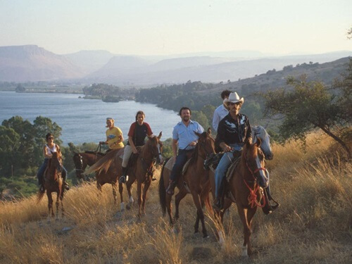 ורד הגליל- חוות סוסים
